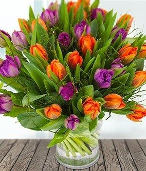 Tulip Treat *