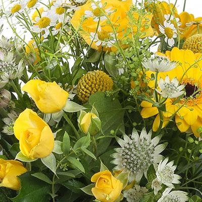 Florist Choice Arrangement